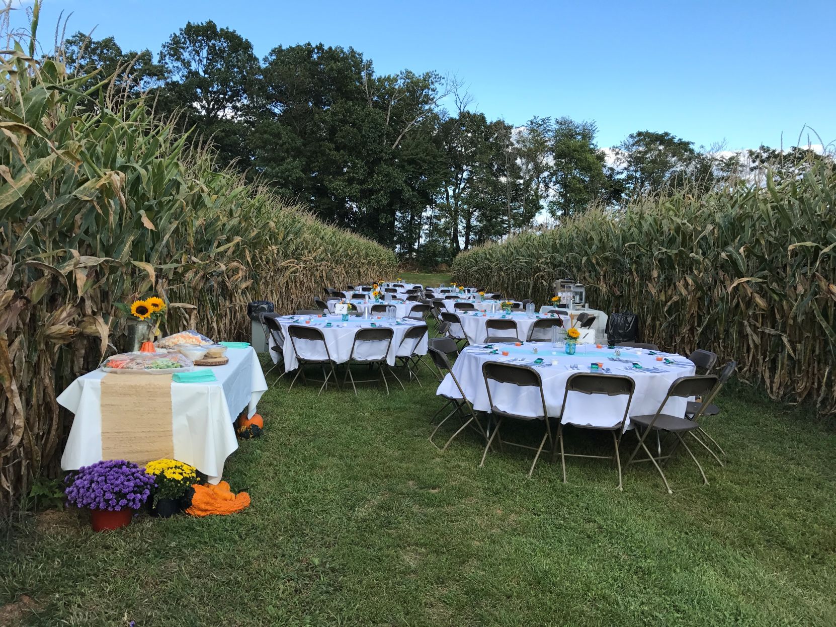Field dinners Lapps